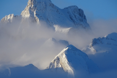 ORG_DSC00512