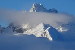 ORG_DSC00527