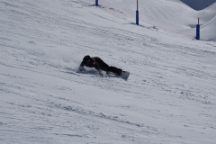 ORG_DSC01346