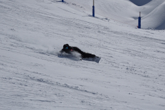 ORG_DSC01347