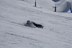 ORG_DSC01348