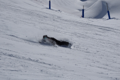 ORG_DSC01349