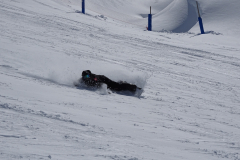 ORG_DSC01350