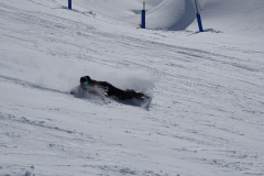 ORG_DSC01351