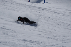 ORG_DSC01353